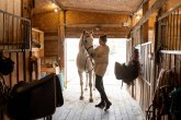 Young active woman in casualwear putting bridles on white racehorse Young active woman in casualwear putting bridles on white racehorse